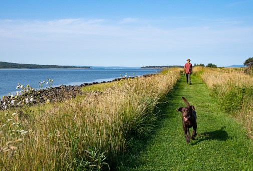 A young man out with his dog on a coastal trail by the sea on a beautiful summer morning