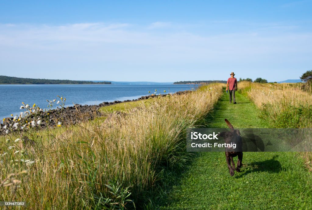Morning on the coast A young man out with his dog on a coastal trail by the sea on a beautiful summer morning Walking Stock Photo