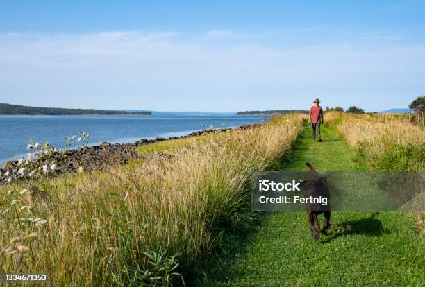 Morning On The Coast Stock Photo - Download Image Now - Walking, Morning, Nova Scotia