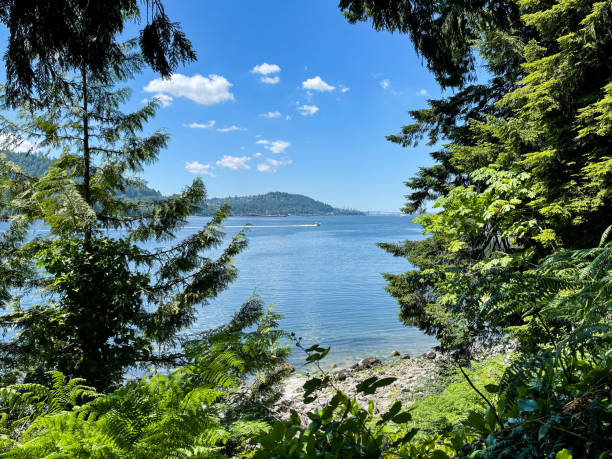 istock Belcarra Regional Park Ocean Views 1334671695