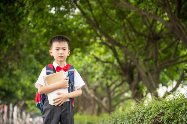 istock A little boy with a book on a shady path 1334672469