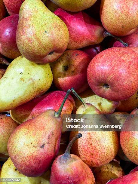 Forelle Pears For Sale In Supermarket Or Farmers Market Stock Photo - Download Image Now