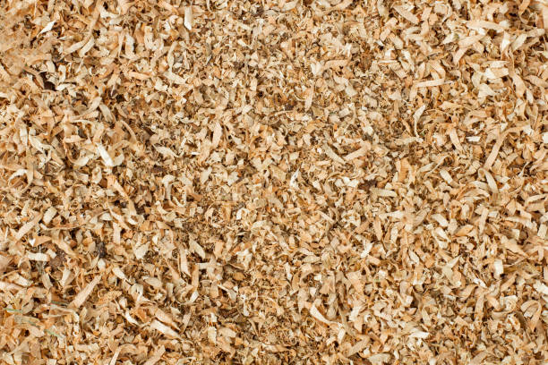 istock sawdust or shavings of fruit wood as a background or backdrop 1334677785