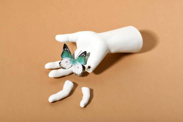 gips gebrochene hand mit butterfy - sculpture art abstract white stock-fotos und bilder