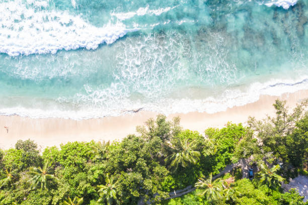 istock Seychelles Takamaka beach Mahe copyspace copy space vacation paradise ocean drone view aerial photo 1334681564