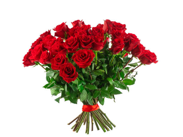 istock bouquet of red roses, isolate on a white background 1334681758