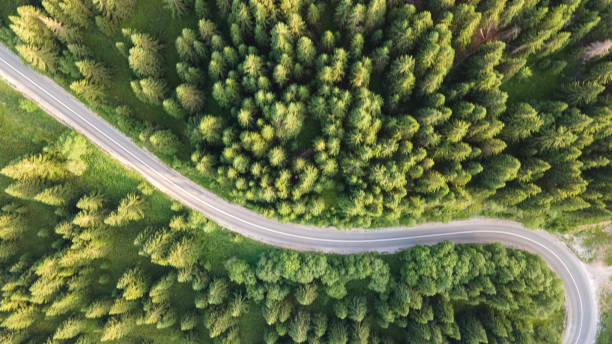 istock Road through the green forest, Aerial view drive going through forest 1334681835