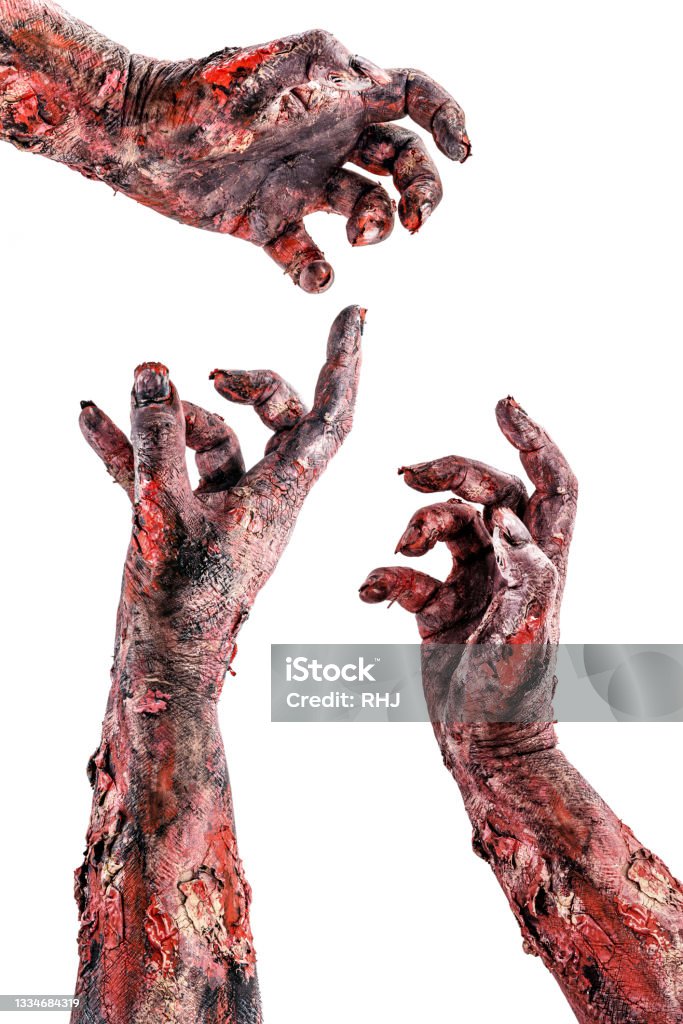 zombie hands collection soaring, undead isolated white background for halloween or day of the dead. Hand Stock Photo