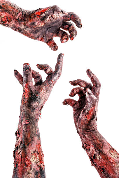 zombie hands collection soaring, undead isolated white background for halloween or day of the dead. zombie hands collection soaring, undead isolated white background for halloween or day of the dead. zombie stock pictures, royalty-free photos & images