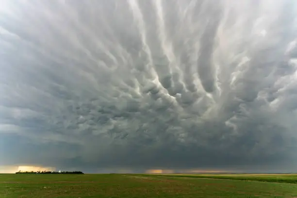 Photo of Prairie Storm Clouds mammatus