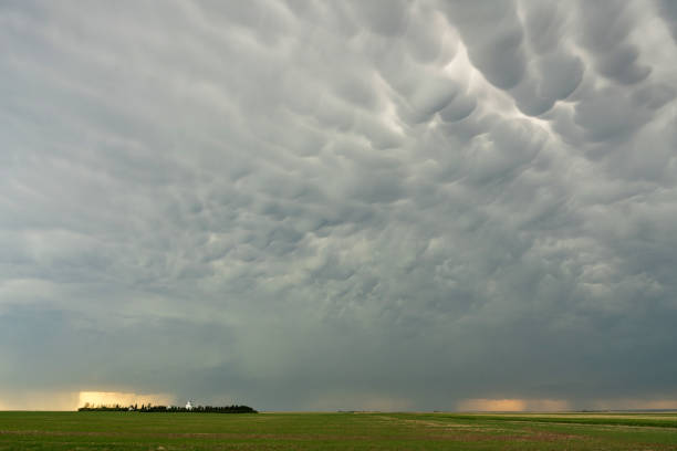 istock Prairie Storm Clouds mammatus 1334685504