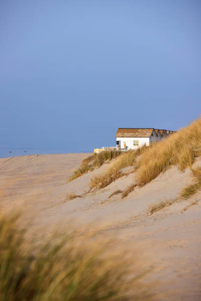 istock Houses on the beach 1334685801