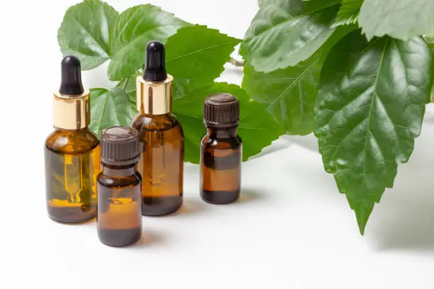 Photo of Glass cosmetic bottles with a dropper stand next to green leaves on a white background. Organic cosmetics concept, natural essential oil and cream.