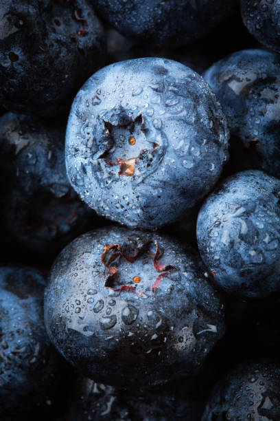 istock Close up ripe blueberries with water drops 1334689866