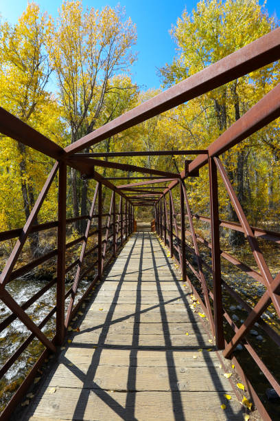 istock Autumn in Sun Valley, Idaho 1334689888