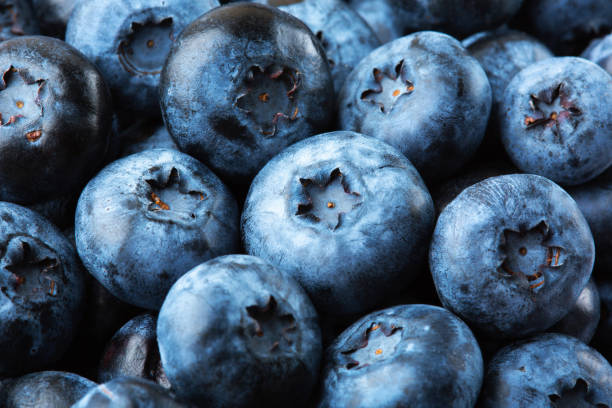 istock Blueberries background. Close up ripe blueberries macro shot 1334689896