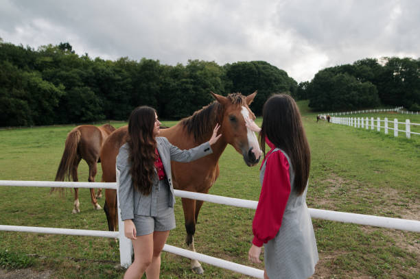 istock Two young women stroking a horse 1334690861