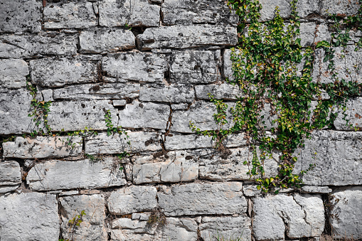 Full frame color photoghraphy close-up of an old stone wall, rock block shape, background texture with green ivy plant growing through it. Taken in the village of Saint Alban, ancient ruined church near Cerdon in France, Auvergne-Rhone-Alpes region.