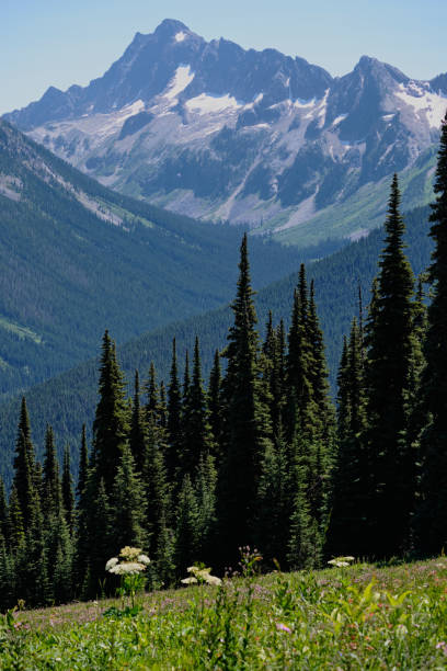 istock Spectacular views from Skyline Trail, Manning Park, BC 1334692387