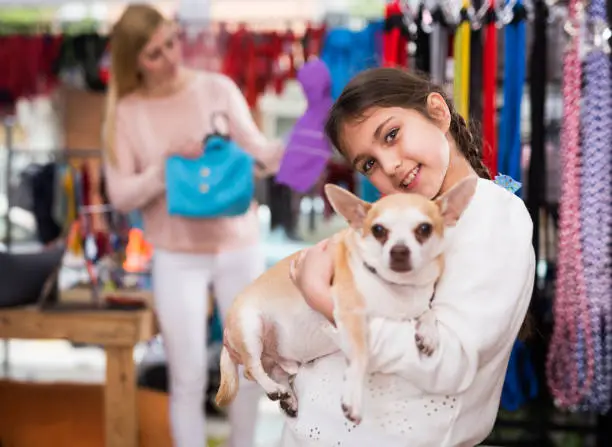 Photo of Portrait of girl holding dog during shopping at pet shop