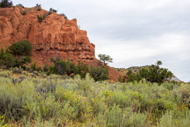 istock Echo Amphitheater New Mexico 1334694399