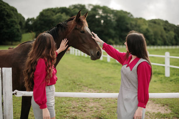 istock Two women stroking a horse on a field 1334694610
