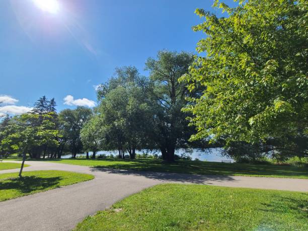 istock Quiet and calm park before the day begins 1334696990