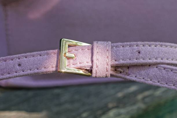 istock one iron yellow buckle on a pink leather harness 1334697054