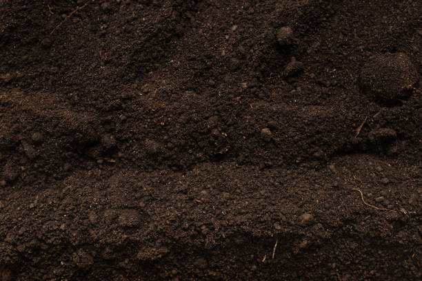 istock Black land for plant background. Top view. 1334697298