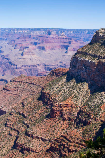 istock Grand Canyon South Rim 1334697572