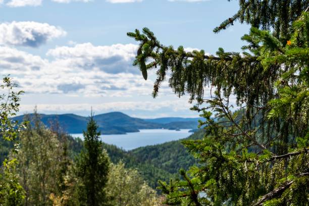 istock Landscape from the north of Sweden 1334699493