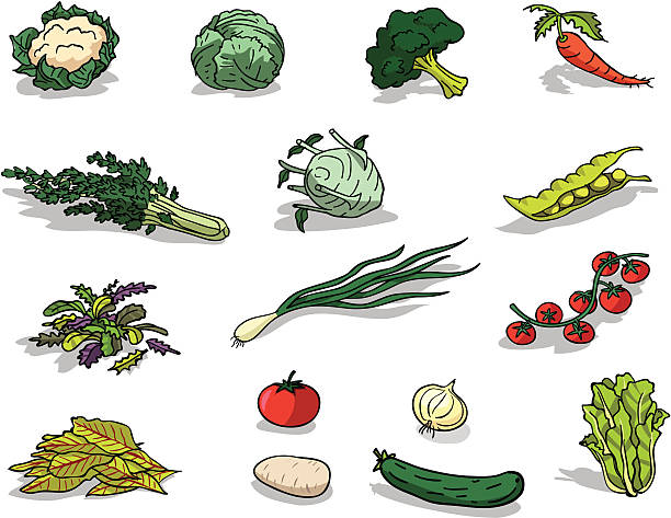 illustrazioni stock, clip art, cartoni animati e icone di tendenza di verdura biologica - cucumbe