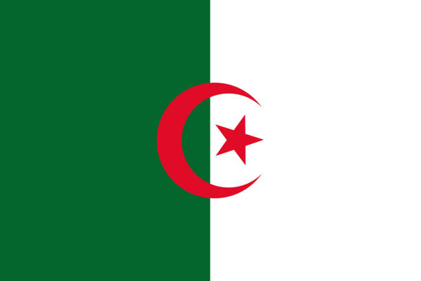 algeria african country flag - 阿爾基爾 幅插畫檔、美工圖案、卡通及圖標