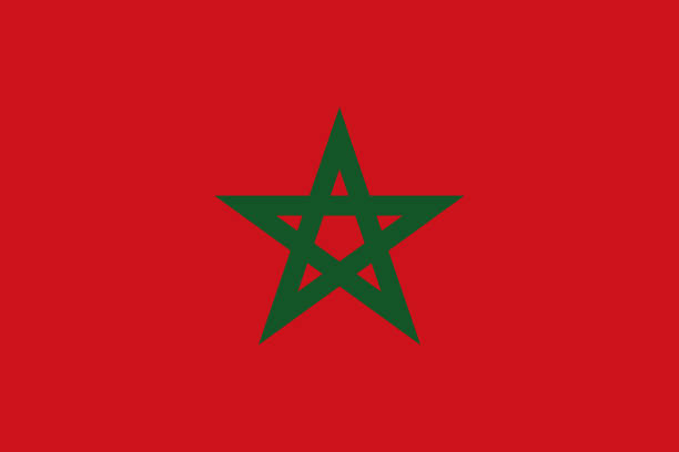 illustrations, cliparts, dessins animés et icônes de maroc drapeau du pays africain - drapeau maroc