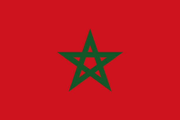 stockillustraties, clipart, cartoons en iconen met morocco african country flag - morocco