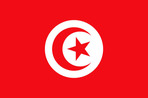 republic of tunisia african country flag - tunisia stock illustrations