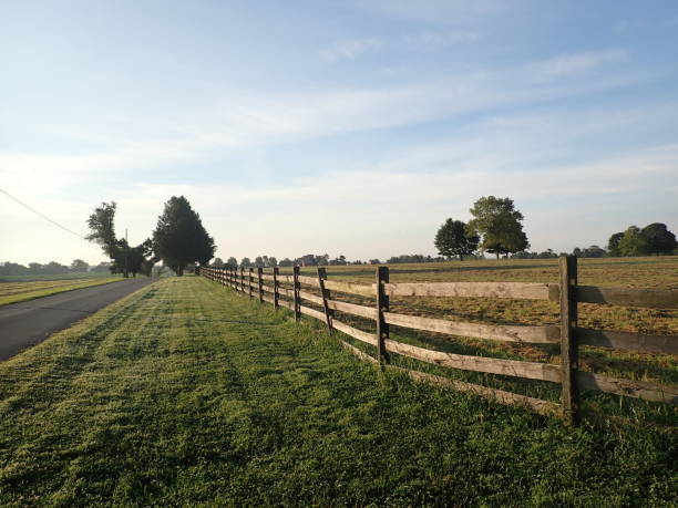 istock Rustic fence on a country lane 1334707076