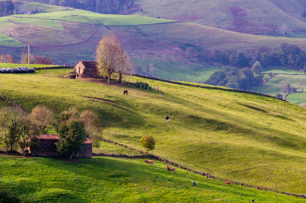 istock Landscapes of Cantabria 1334711214