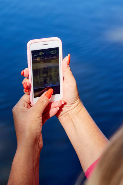 istock female hands holding a mobile phone for shooting a picture 1334711311