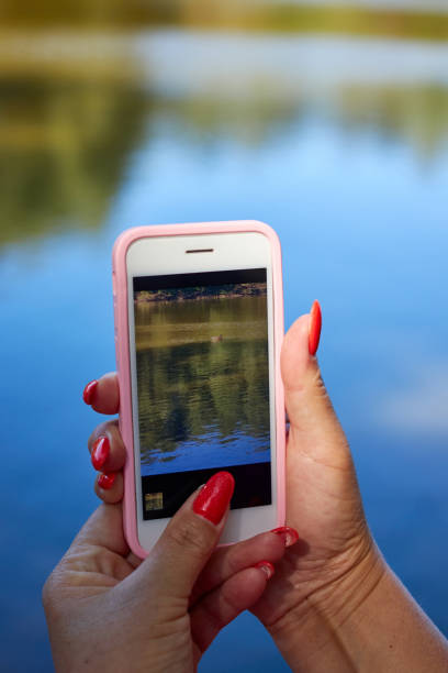 female hands holding a mobile phone to make a picture