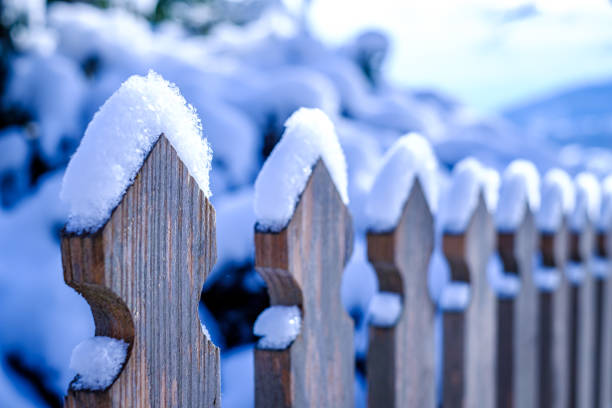 old wooden fence - close up