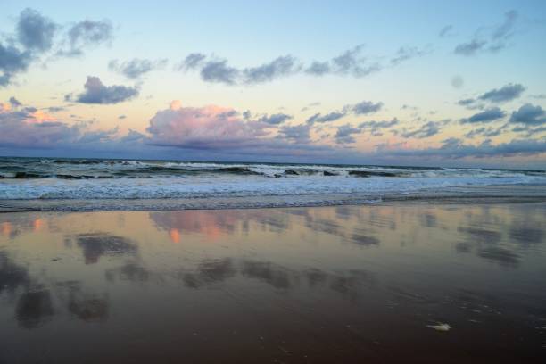 istock Tropical beach in Bahia 1334712636