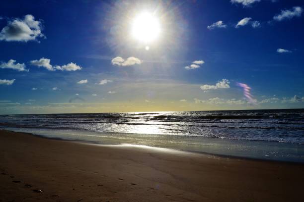 istock Tropical beach in Bahia 1334712669