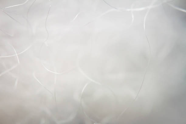 Extreme macro of polyester stable fiber. Selective focus, shallow depth of field.
