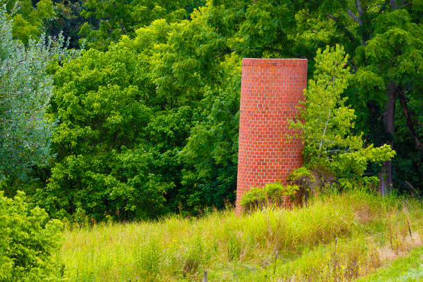 istock Brick silo at the edge of a forest of trees 1334715739
