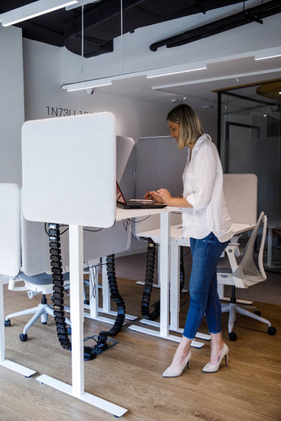 istock Businesswoman using a standing desk in her office cubicle, typing data on laptop 1334717537