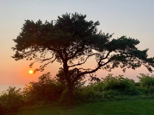 istock Sunset over Lake Michigan 1334720441