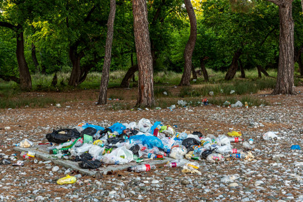 Mugla Province, Turkey - June 03, 2021: Environmental pollution. Heaps of garbage thrown on the ground in the forest area.