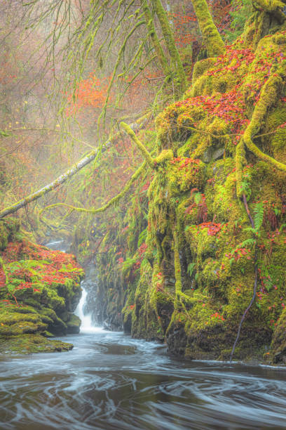 istock Birks of Aberfeldy, Scotland 1334725362