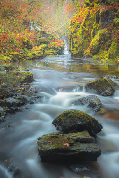 istock Birks of Aberfeldy, Scotland 1334725559